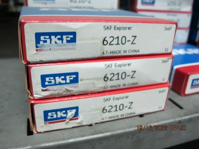 SKF Photo 95